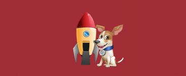 Los mejores gadgets para nuestras mascotas