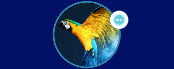 Actualización de Parrot Security 3.10 para hacking ético en Linux