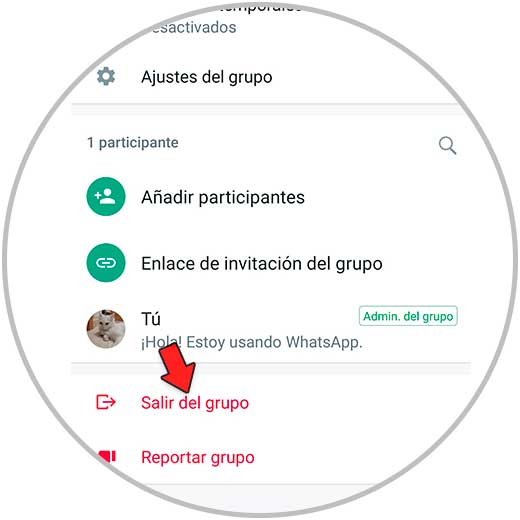 Más poder para los administradores de grupos de WhatsApp: pueden borrar cualquier mensaje