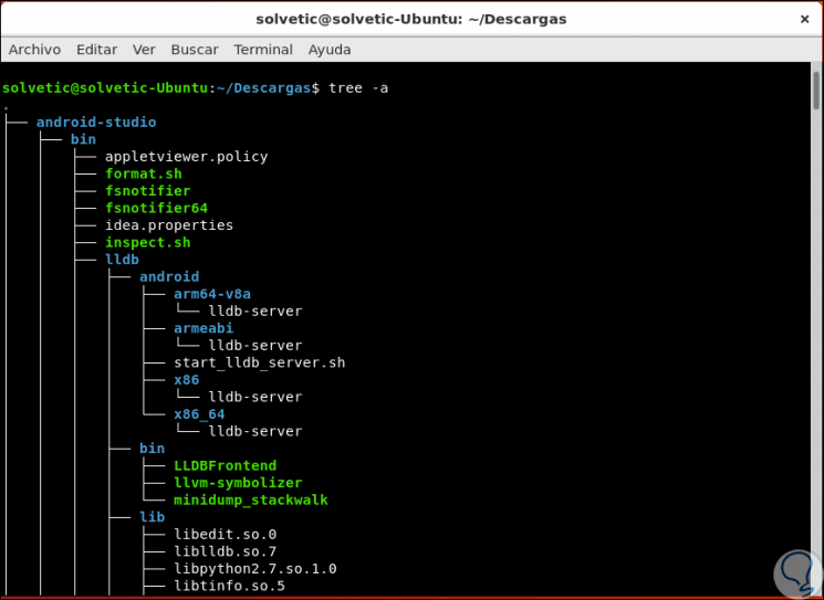 Cómo usar comando Grep y Tree Linux ejemplos Solvetic
