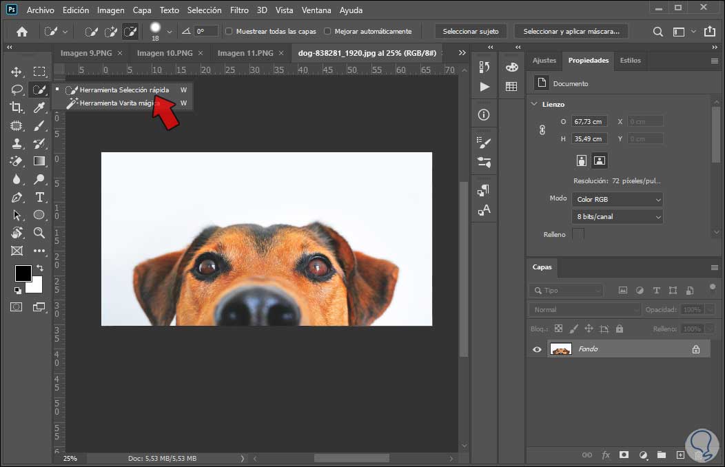 Programa para quitar el fondo de una imagen  Adobe Express