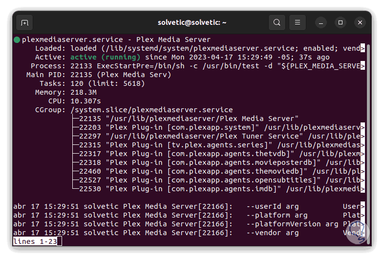 Enumerar cubrir Venta ambulante Plex Media Server Ubuntu ✔️ INSTALAR - Solvetic