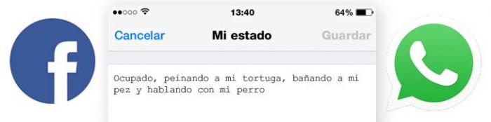 Imagen adjunta: Whatsapp-estados-tortuga.jpg