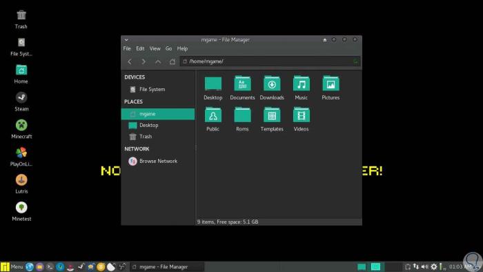 Imagen adjunta: 6-mGAMe-(Manjaro-Gaming).jpg