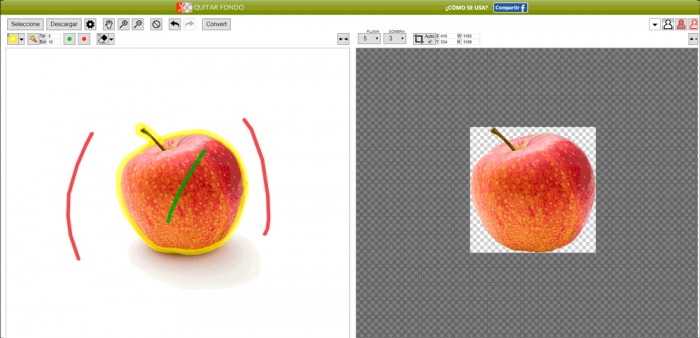 Imagen adjunta: 3-quitar-fondo-com-online-gratis.png