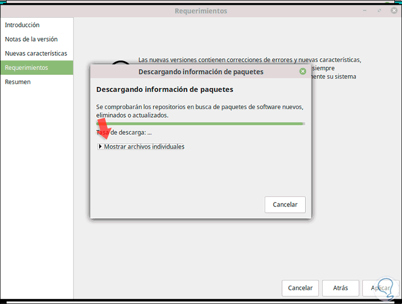 17-proceso-de-descarga-de-los-paquetes-linux-mint.png