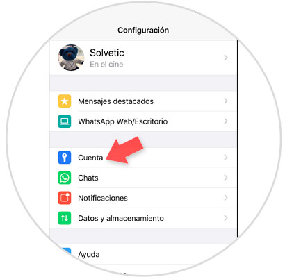 Cómo cambiar fondo de pantalla WhatsApp iPhone 11, iPhone 11 Pro o iPhone  11 Pro Max - Solvetic