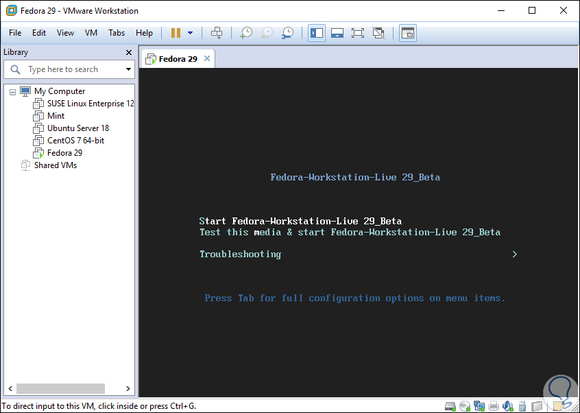 11-crear-maquina-virtual-vmware-fedora-29.png
