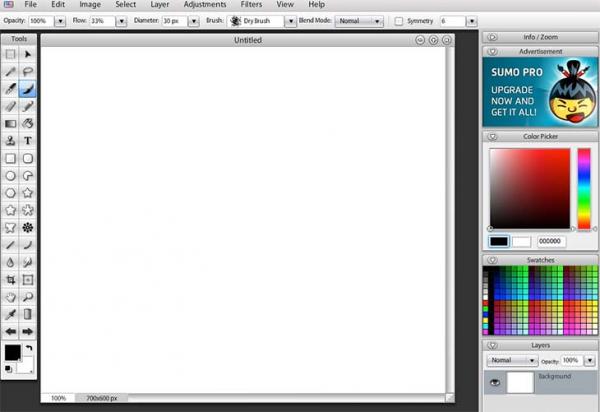 Imagen adjunta: sumopaint-editar-fotos.jpg