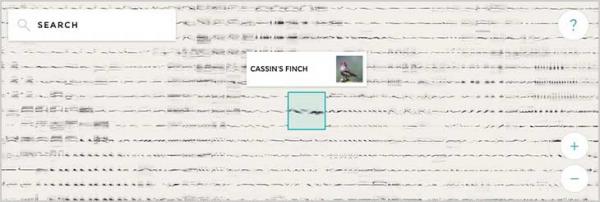 Imagen adjunta: birds-sound.jpg