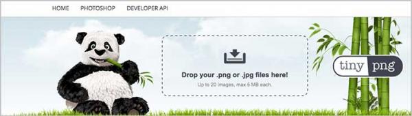 Imagen adjunta: tiny-png-comprimir-imagenes.jpg