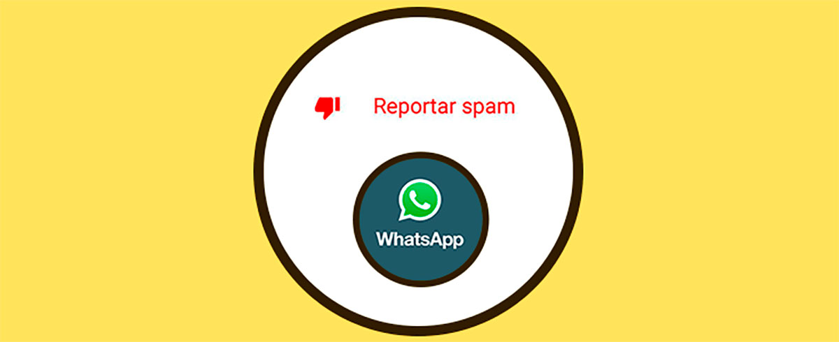 Reportar un contacto como Spam WhatsApp por error
