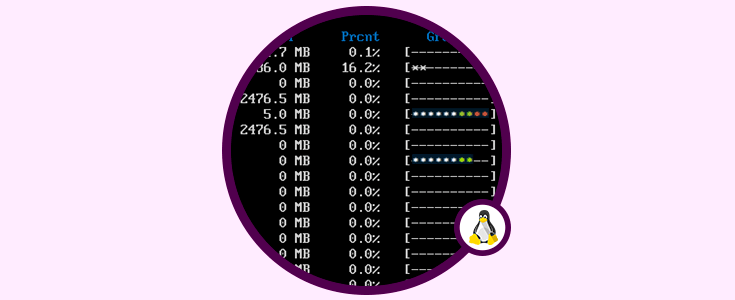 Discus comando para ver espacio en disco Linux en barra colores