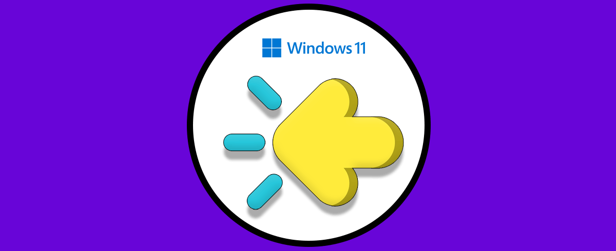 Activar o quitar Sombra Puntero Mouse Windows 11 | Ratón