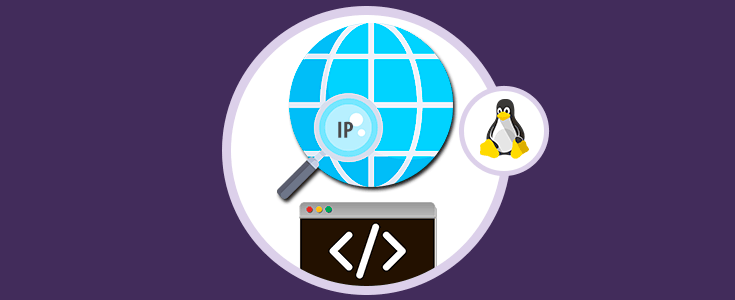Encontrar y ver dirección IP pública web con comandos Linux